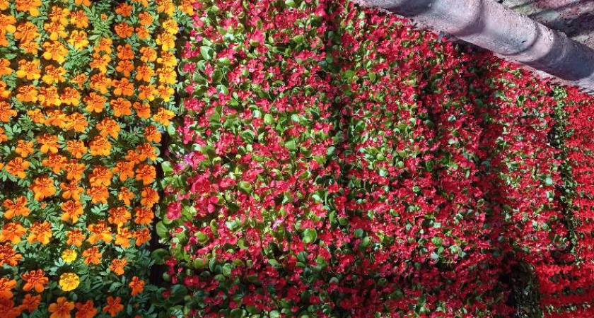 В Пензу прибыла первая партия цветов для украшения города 